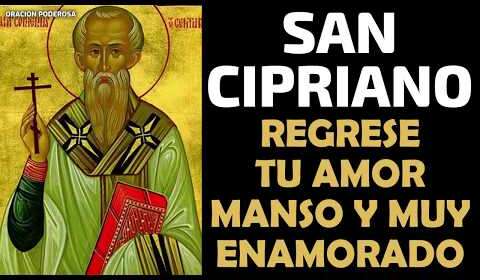 Oración a San Cipriano para regresar enamorado y manso